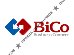 Информационное агентство BiCo